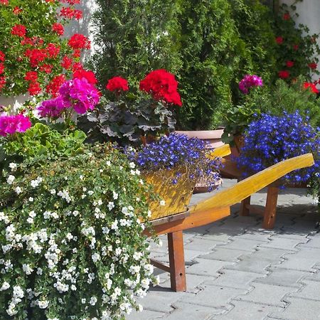 Hotel Cosmos Кымпулунг-Молдовенеск Экстерьер фото